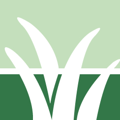 Weed Whacking Service Pros