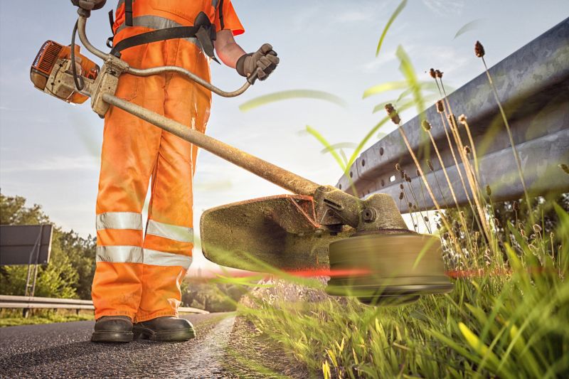 Increase Your Weed Whacking Service Business with an AI Driven, Targeted Website