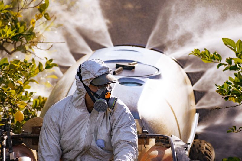 Weed Whacking Service