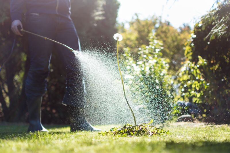 Cost of Weed Whacking Service — Cost of Weed Whacking Service
