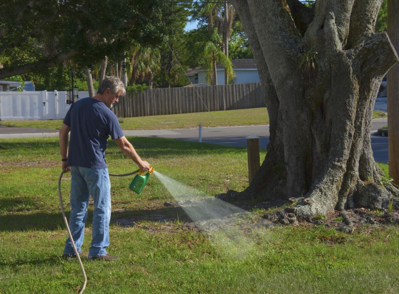 Cost of Weed Whacking Service — Cost of Weed Whacking Service