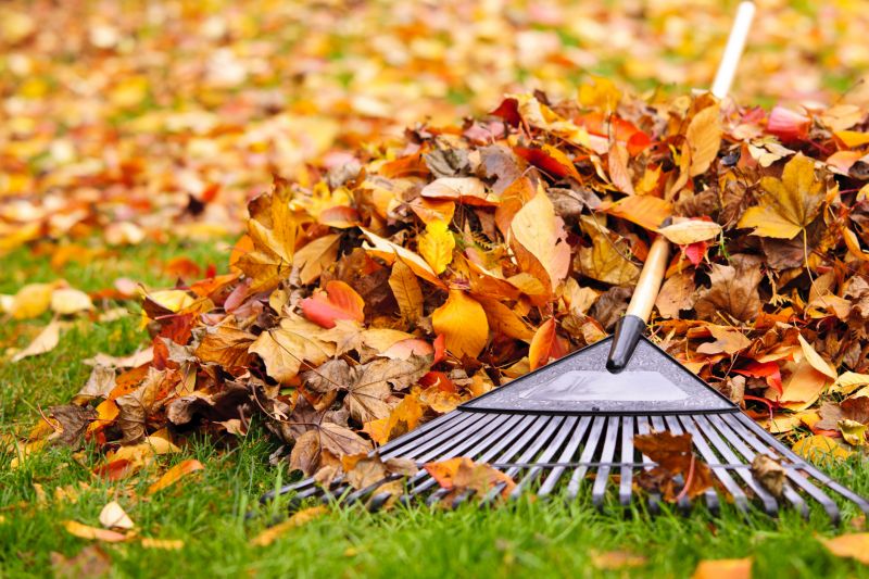 Leaf Pile Removal