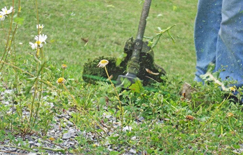 Weed Whacking Service