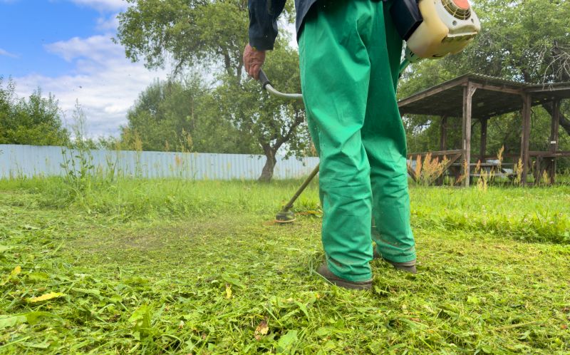 Weed Whacking Service