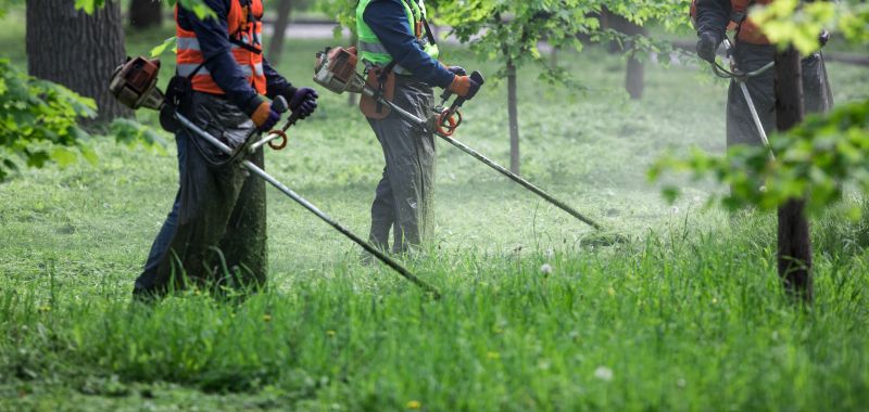 Weed Clearing in Hard-to-Reach Areas