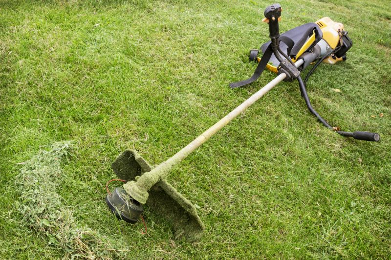 Weed Whacking Service